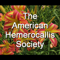Click Here to find out more about adding your banner