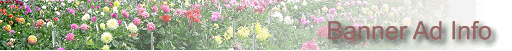 Click Here to find out more about adding your banner