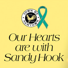 DONATE TO SANDY HOOK ELEMENTARY SCHOOL